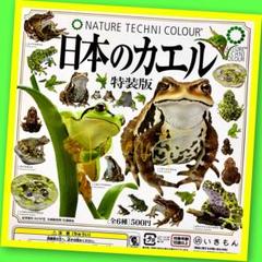 2025年最新】ネイチャーテクニカラー 日本のカエル トウキョウ