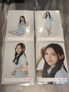 櫻坂46 生写真　ポロシャツコーデ　4種コンプ　谷口愛季
