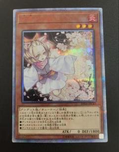 2025年最新】遊戯王 20TH-JPC85 灰流うららの人気アイテム