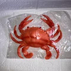カニ　ダメタロー　ソフビ　① 今季終了】越前ずわいがに(オスがに) 皇室献上蟹サイズ 越前ガニ