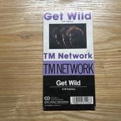 【レア 限定 CD】ALL the \"Get Wild\" TM NETWORK 希少 限定 CD】ALL the 