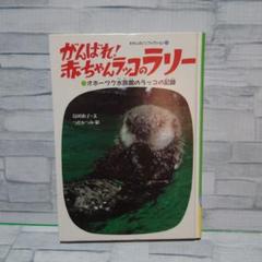 がんばれ！赤ちゃんラッコのラリー　わたしのノンフィクション　島田治子　偕成社 がんばれ赤ちゃんラッコのラリー: オホーツク水族館のラッコの