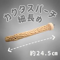 2025年最新】カクタスパーチの人気アイテム - メルカリ