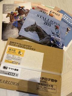 未開封2023年 社台サラブレッドクラブ サンデーサラブレッドクラブ カタログ IMG_6152.jpg