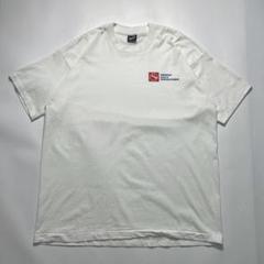 90s フルーツオブザルーム USA製 ビンテージT XL 企業 6921
