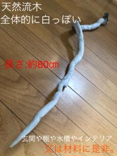 グレイ系最も優遇の 流木d 068 ハンドメイド Diy 長さ 141cm 181cm 7本セット 各種パーツ 素材 材料グレイ系 11 790 Eur Artec Fr