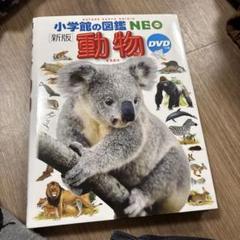 動物 DVDあり