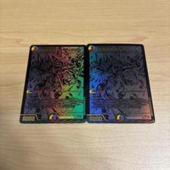 龍風混成 ザーディクリカ 秘 黒シク 2枚セット シークレット