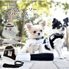 RADICA レース ハグハーネス リードセット ホワイト SSサイズ