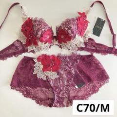 サルート C70/M 90G PU 店舗限定 サルート 90G 店舗限定 新品タグ付 P-upブラ TバックC70 PU