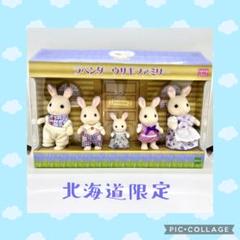 わちファミリーページ⑩ Sylvanian Families FS-14 Chihuahua Family Doll : Amazon.sg: Toys