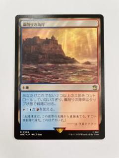 MTG 嵐削りの海岸　セトブFOIL 4枚セット jp_b46d46f22b.jpg