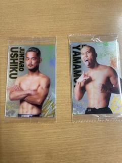 8cm CD 山本太郎 NO.1! れいわ新選組 SEXY褌ジャケ 8cm CD 山本太郎 NO.1! れいわ新選組 SEXY褌ジャケ - メルカリ