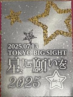 赤ブー 星に願いを サーチケ 7/13 星に願いを2025 day2 赤ブー サークルチケット - メルカリ