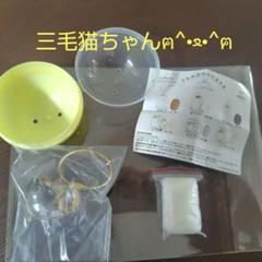 【正規品】うちの子のけだまだま 三毛猫ちゃん（かぶりの為出品します）