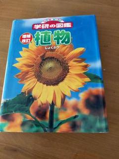 ⭕貴重な学研図鑑ー植物しょくぶつー全２４０ページ２４ｘ２９ｘ3.5定価2200円