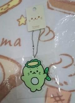 しろたん かっぱ