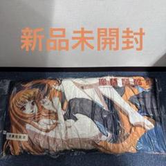 狼と香辛料 10th anniversary　賢狼ホロ抱き枕カバー 2025年最新】狼と香辛料 抱き枕の人気アイテム - メルカリ