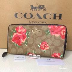 コーチ 長財布 大薔薇 ローズピンク 【新品】