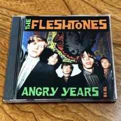 The Fleshtones / Angry Years 84-86