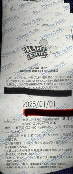2025年最新】ハッピーエントリー通行証の人気アイテム - メルカリ