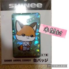 SHINee ANIMAL COORDY 缶バッジ コンプ 7種 セット SHINee ANIMAL COORDY 缶バッジ 全7種コンプリート グッズ