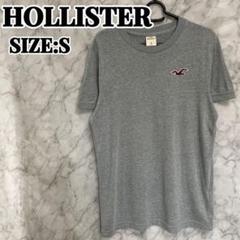 HOLLISTER Tシャツ　ワンポイントロゴ　刺繍　半袖　夏服　Sサイズ