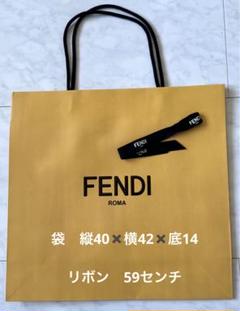 2025年最新】Fendi ショップ袋・ショッパーの人気アイテム