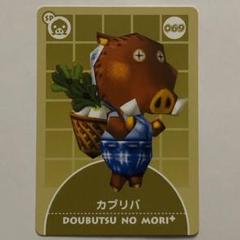 どうぶつの森 e + ゲームキューブ用カード カブリバ