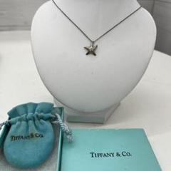 【美品】Tiffany ティファニー スターフィッシュ ネックレス SV925 鑑定済] TIFFANY&Co. スターフィッシュ ネックレス SV925 - メルカリ