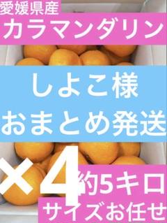 【専用】21 【愛媛県産】カラマンダリン2L又は3L サイズお任せ　約5kg 専用】21 【愛媛県産】カラマンダリン2L又は3L サイズお任せ 約