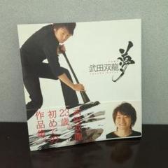 武田双龍 夢 初めての作品集　書道本