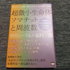 2025年最新】増川いづみの人気アイテム - メルカリ