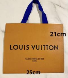 LVショップ袋 LOUIS VUITTON - 4/ ヴィトン 付属品 ショップ袋 バッグ用 2種