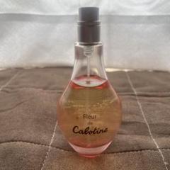 グレ　フルール　ド　カボティーヌ　ブーケ　オードトワレ　香水 50ml 価格.com - グレ フルール ド カボティーヌ ブーケ EDT 50ml