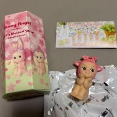 Sonny Angelと迎える春のお花見日和。待望の桜シリーズが3年ぶり