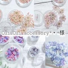 Cui_Cui_accessory°・*様おまとめ】ドライフラワー - メルカリ