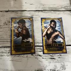 rizin 芦澤竜誠 直筆サイン色紙 - メルカリ