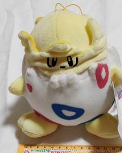Amazon.co.jp: ポケットモンスター ポケモン キミにきめた