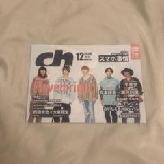 novelbright フリーペーパー