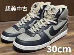【超美品・希少サイズ】NIKE ナイキ ターミネーターハイ2003 US12