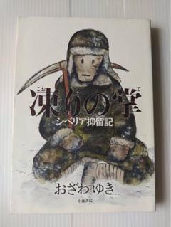 凍りの掌 シベリア抑留記