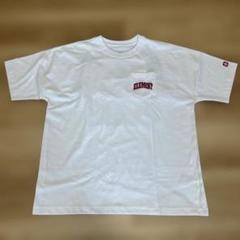 新品未使用！ELEMENT BIG Tシャツのサムネイル