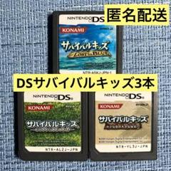 DS サバイバルキッズ 3本 ソフトのみ