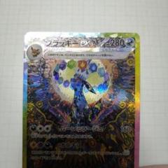 【超美品】ブラッキー　ex sar ブラッキーex sar