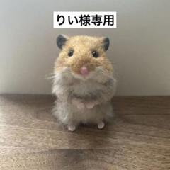 2025年最新】羊毛フェルト ハムスターの人気アイテム - メルカリ