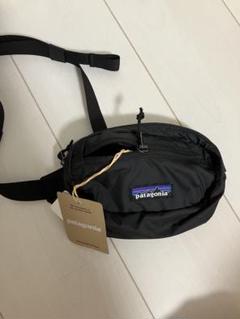 新品 Patagoniaパタゴニア テラヴィアミニヒップバック