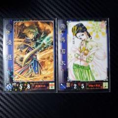 三国志大戦 【呉】 R陸遜(okome) R呉国太(安野モヨコ) - メルカリ
