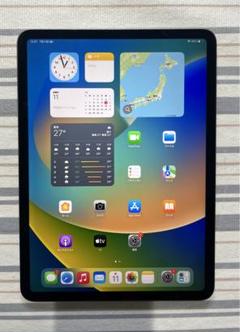 11インチ iPad Pro（第1世代/2018） 64GB OS16
