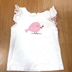 jacadi Tシャツ 36M/96cm